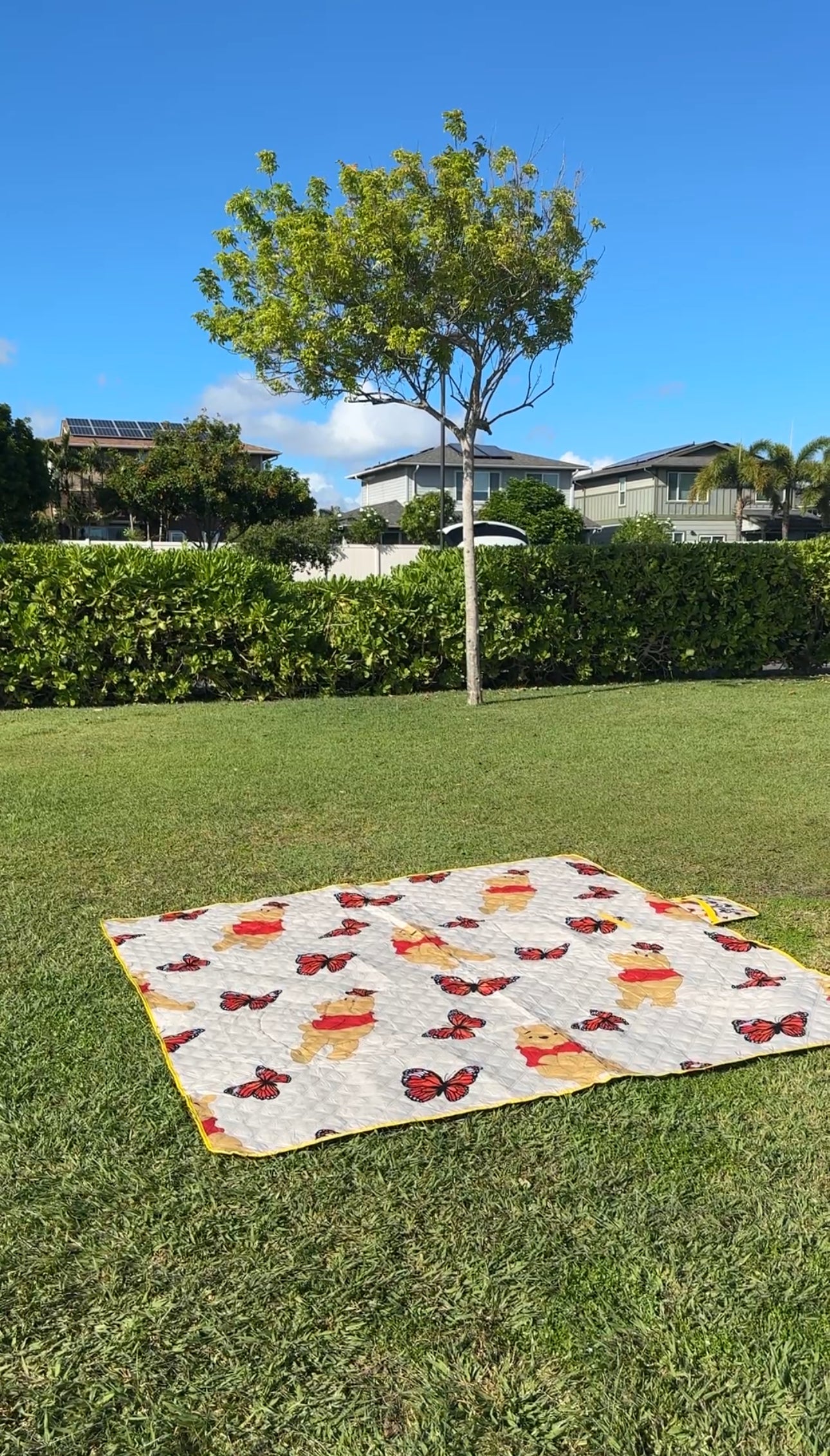 Exclusive Pooh-Lelehua Picnic Mat