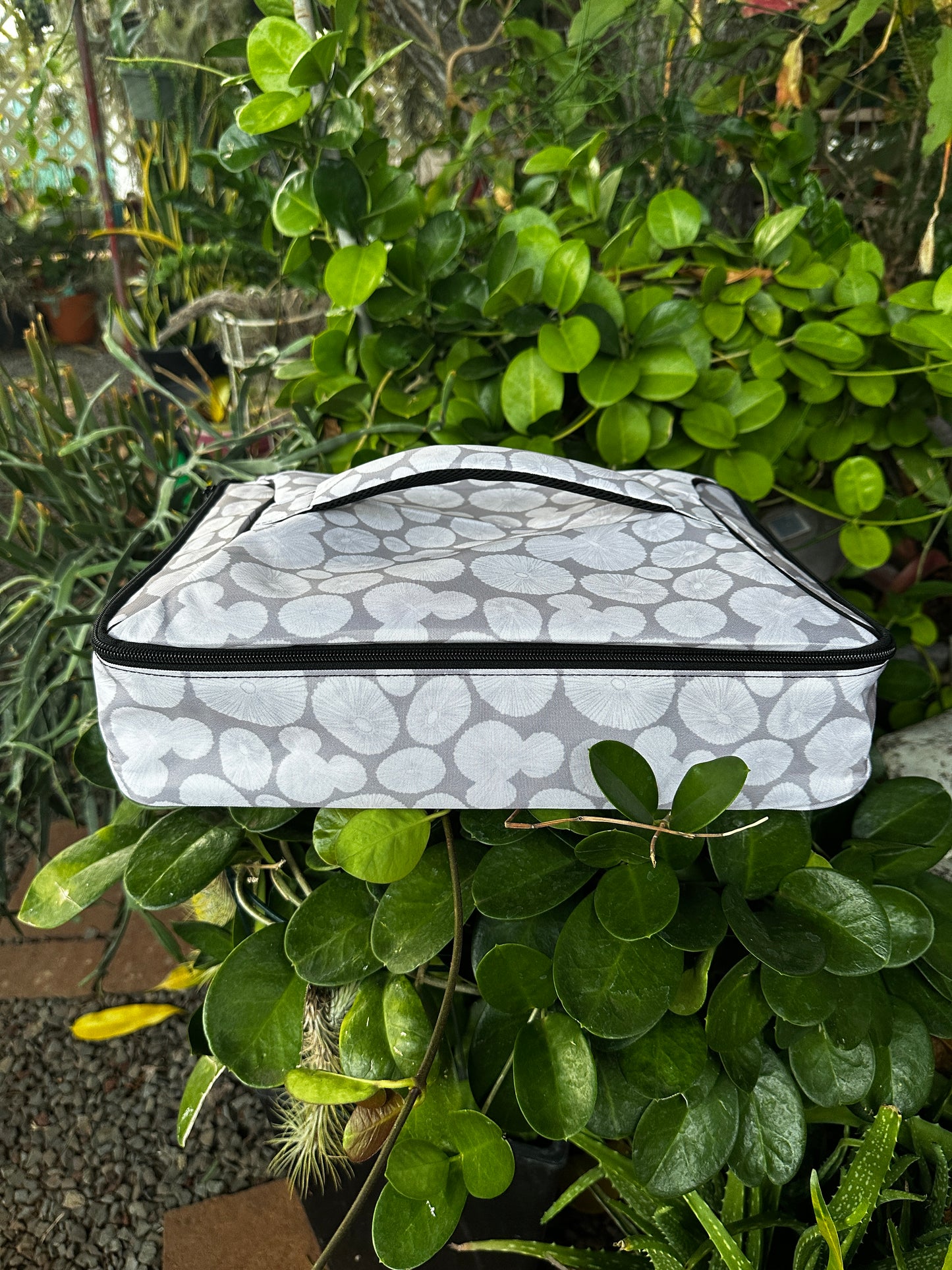 Potluck Carriers (ALL DESIGNS)