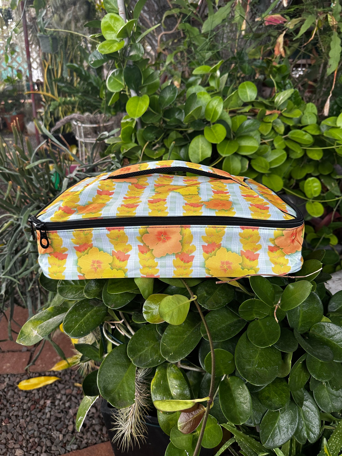 Potluck Carriers (ALL DESIGNS)